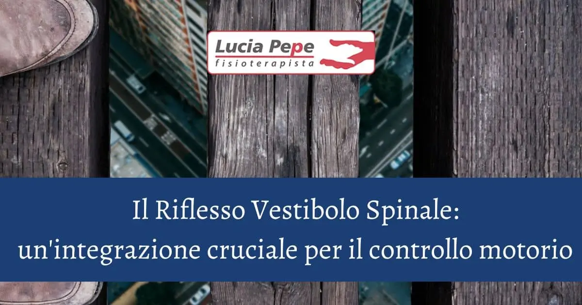 Il Riflesso vestibolo-spinale e il controllo motorio